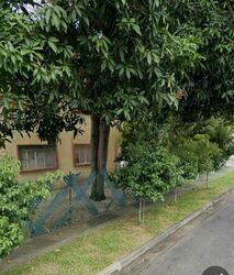 Frankel Estate (D15), Terrace #473358991